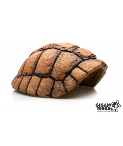 Carapace de tortue Grotte L