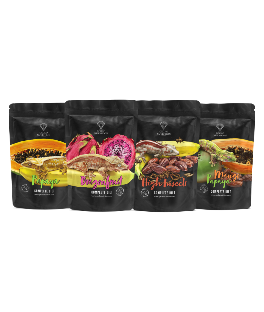 Pack nouveautés 2024 Gecko Nutrition - 4 saveurs