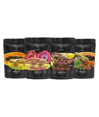 Pack nouveautés 2024 Gecko Nutrition - 4 saveurs