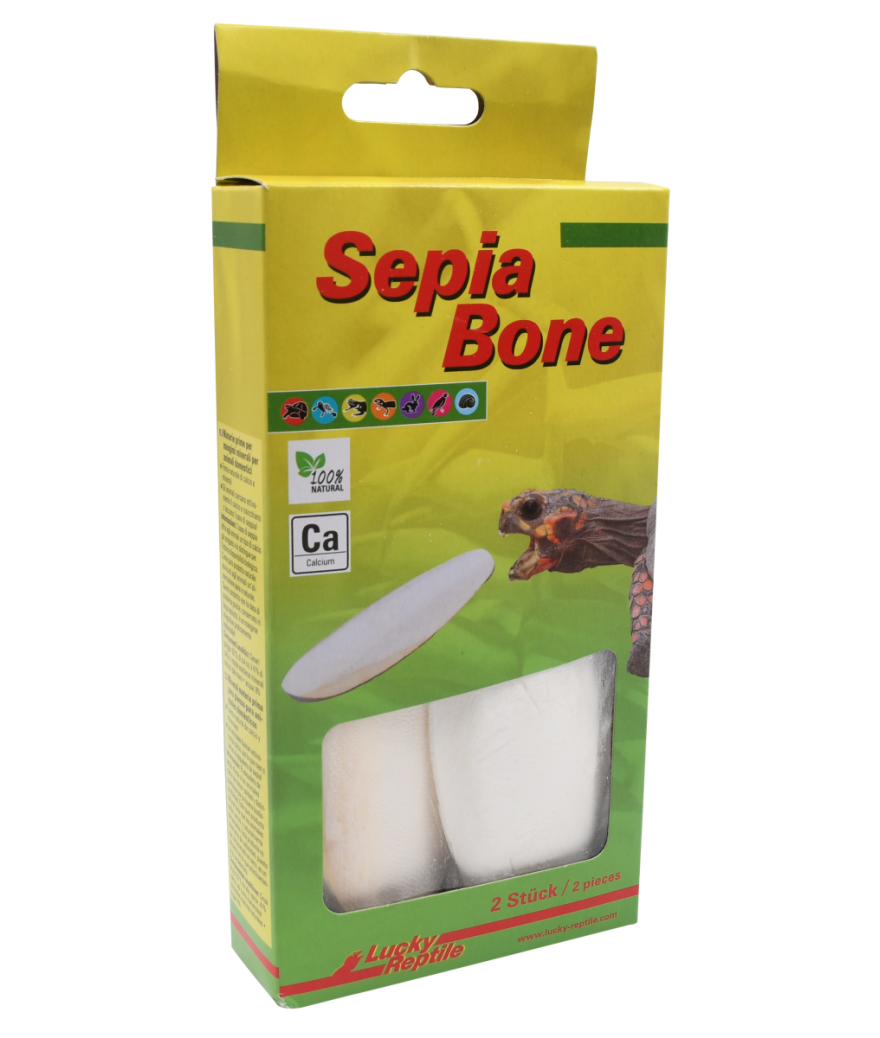 Os de seiche - Pack de 2 - Lucky Reptile