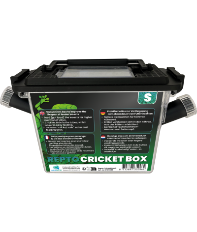 Repto Cricket Box