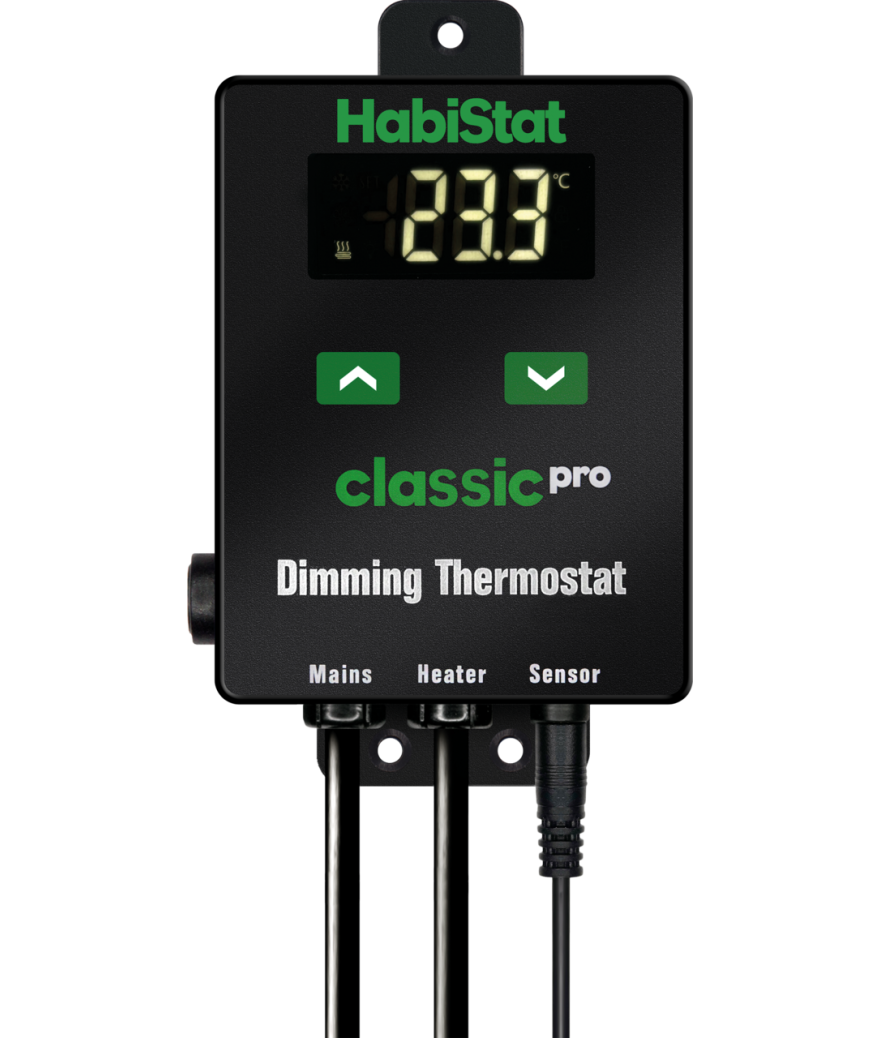 Thermostat Habistat Dimming noir 450W