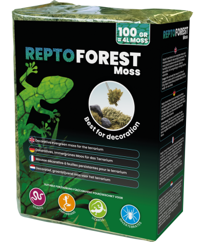 Mousse de forêt 100g - Repto