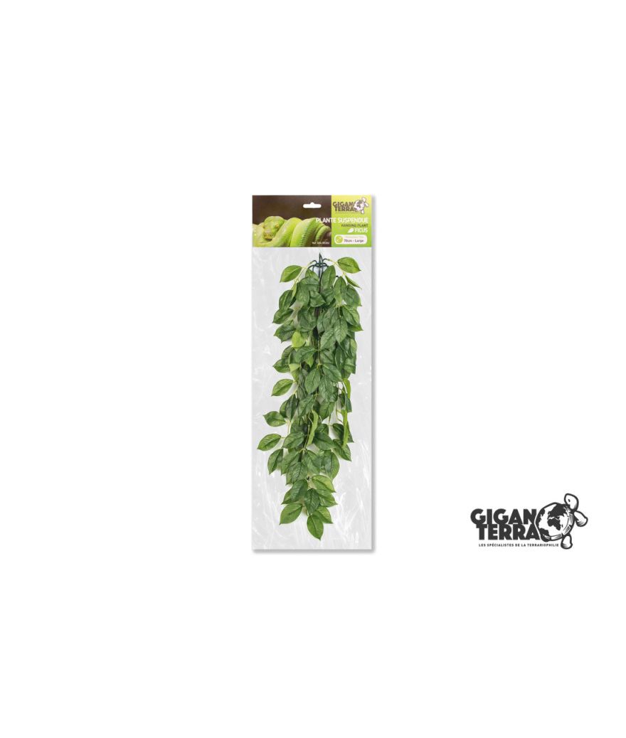 Plante suspendue 3 70cm