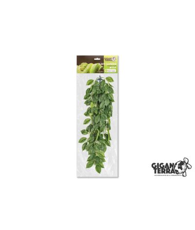 Plante suspendue 3 70cm