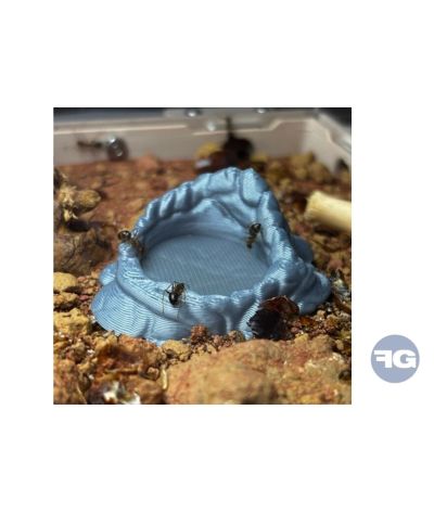 Mangeoire fausse roche pour fourmis