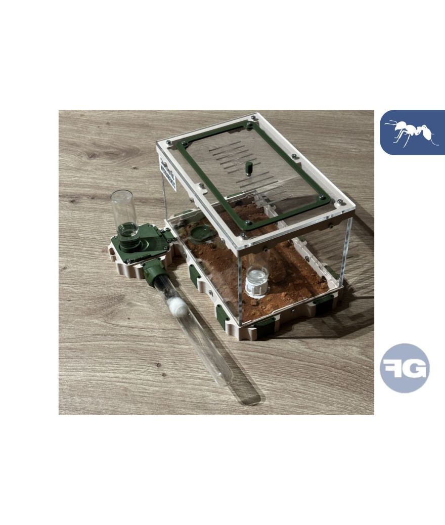 TerraKit Fourmis
