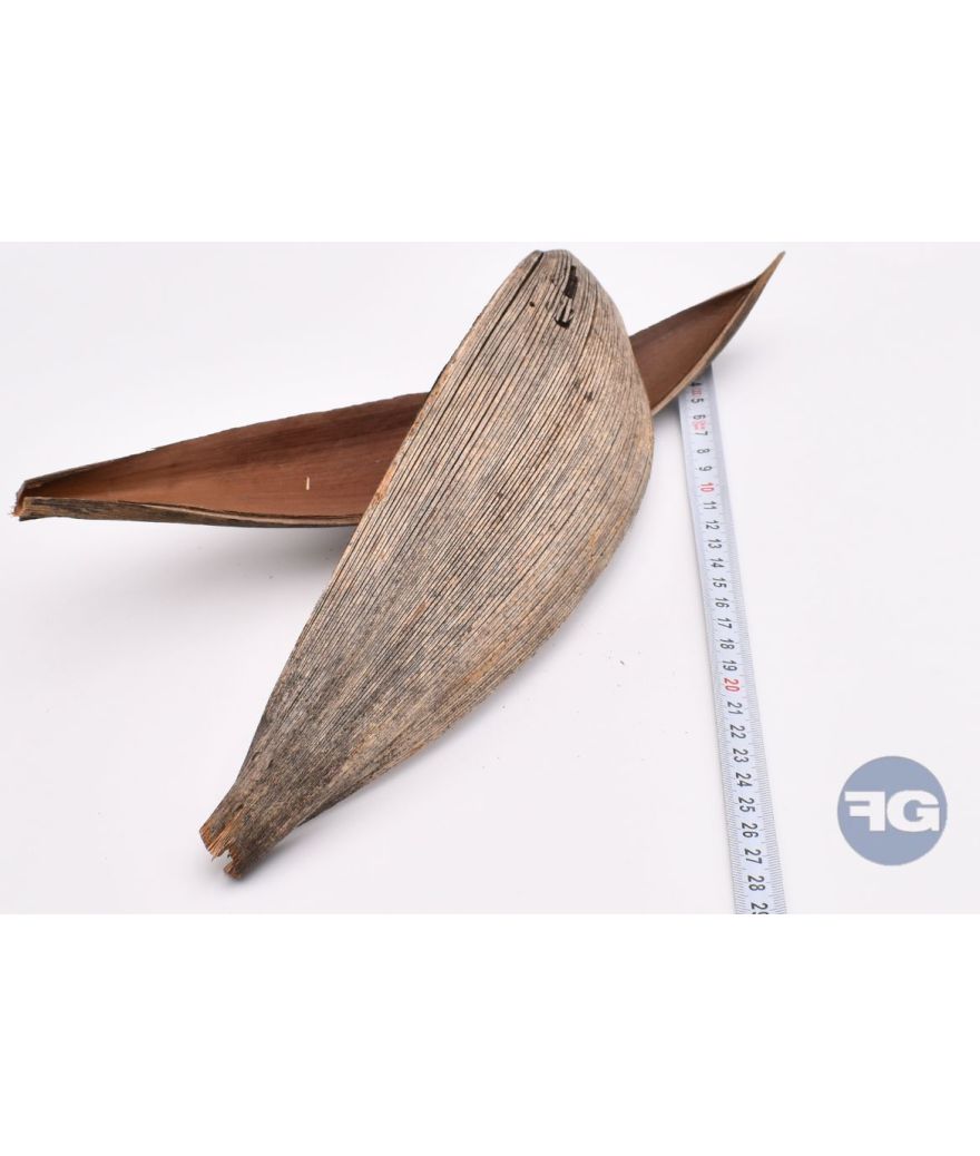 Feuille de cocotier 26-40 cm 