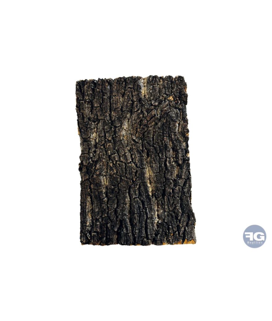 Repto Plaque Liege 30 X 20 Cm