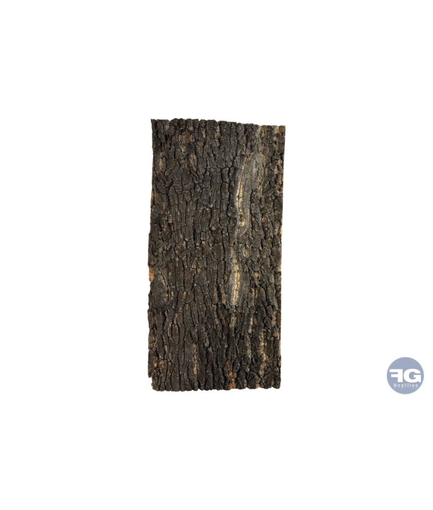 Repto Plaque Liege 60 X 30 Cm
