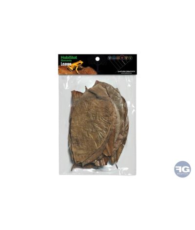 Habistat 30 Feuilles Mélangées Naturelles