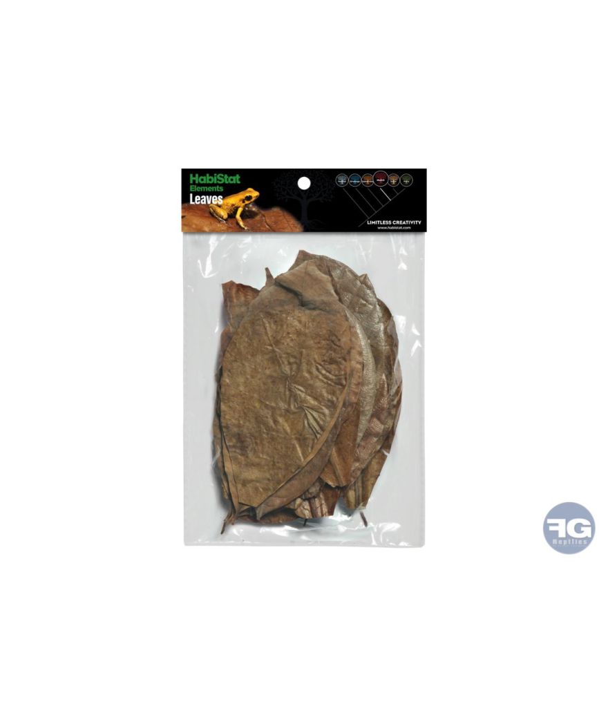 Habistat 30 Feuilles Mélangées Naturelles