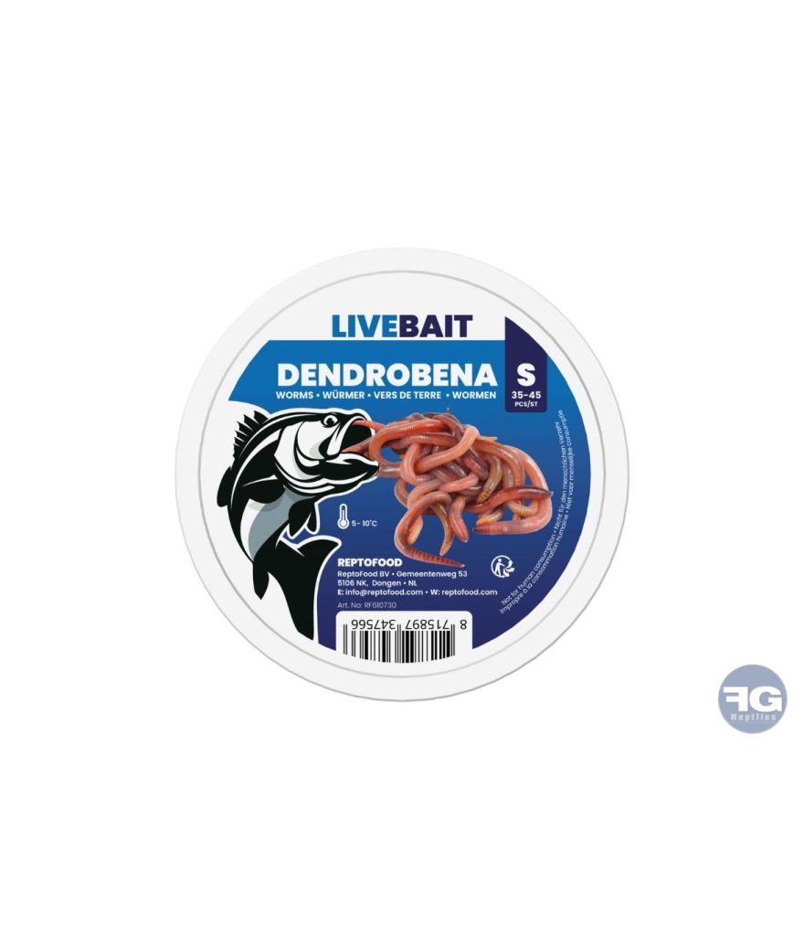 Vers De Terre Dendrobena S 35-45X