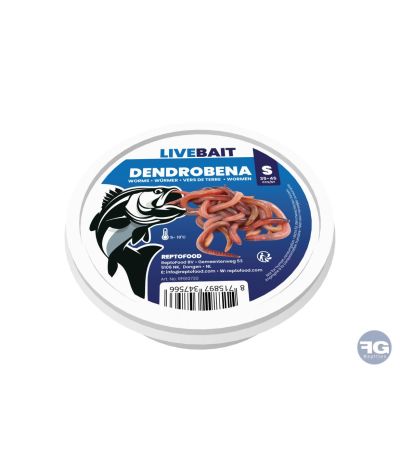 Vers De Terre Dendrobena S 35-45X