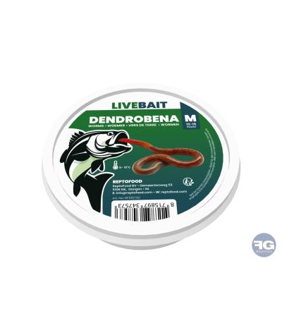 Vers De Terre Dendrobena M 12-15X