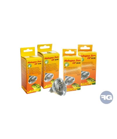 2 ampoules Halogène Sun LV 10 W 