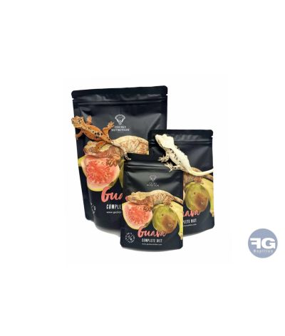 Gecko Nutrition Goyave - NEW 2025