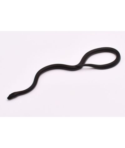 Boaedon perisilvestris Black congo