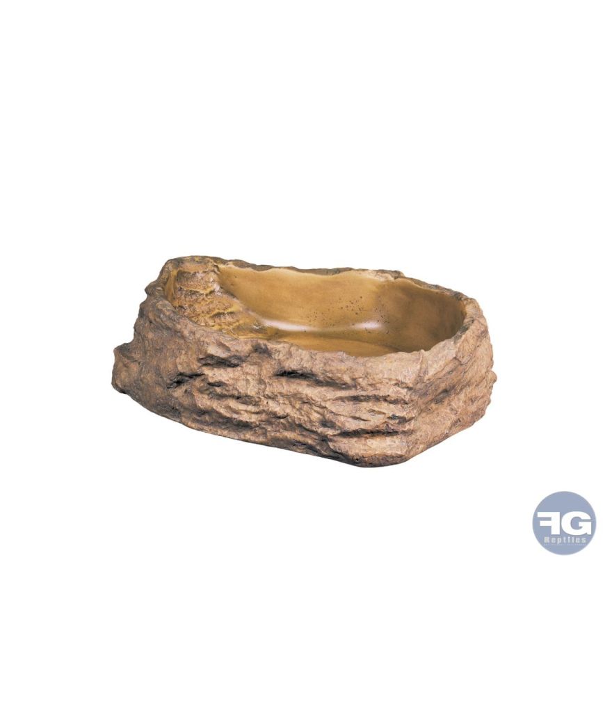 Bol reptile L - 21x17,5x5cm