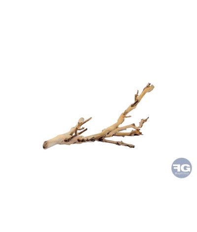 Pied de vigne sablé S/30CM