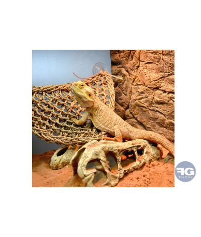 Hamac triangulaire pour reptile