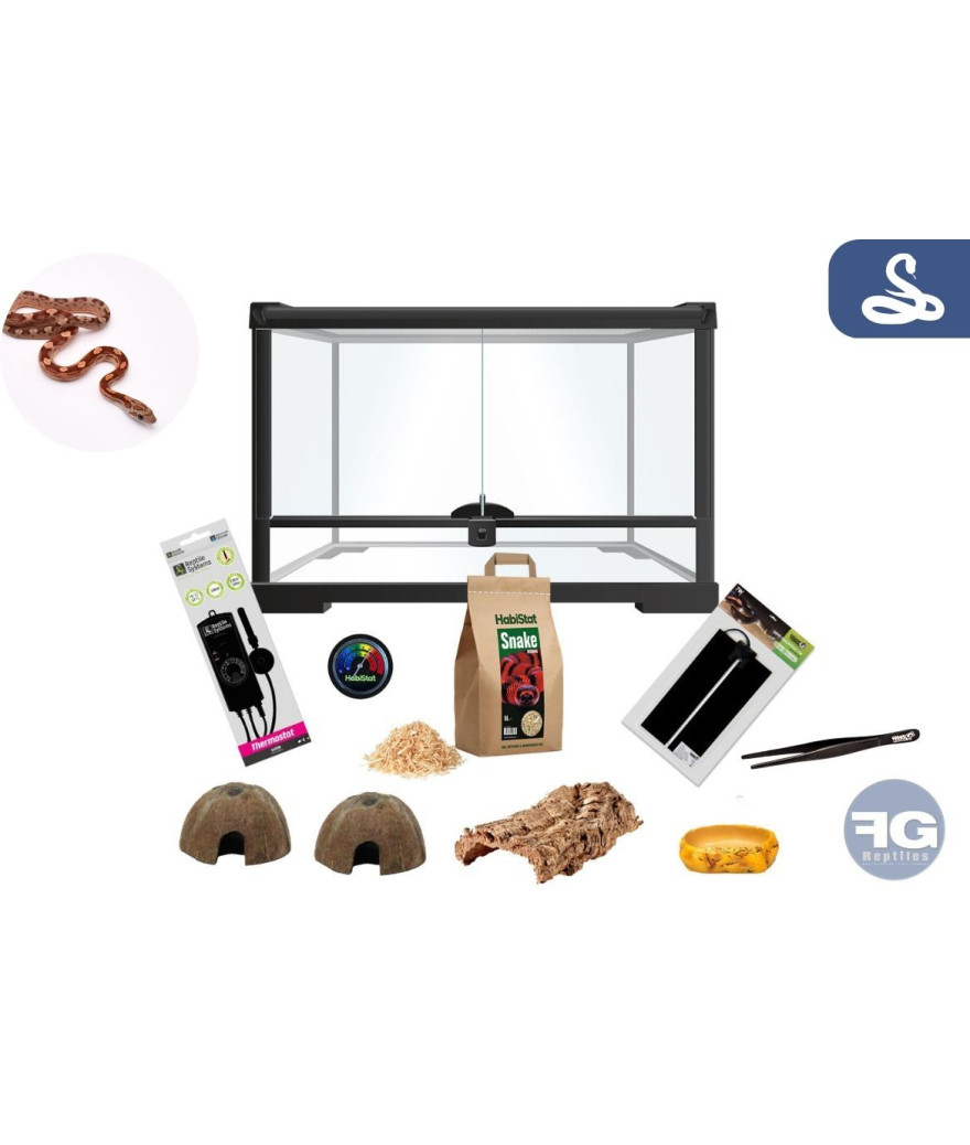 kit terrarium pour serpent des blés