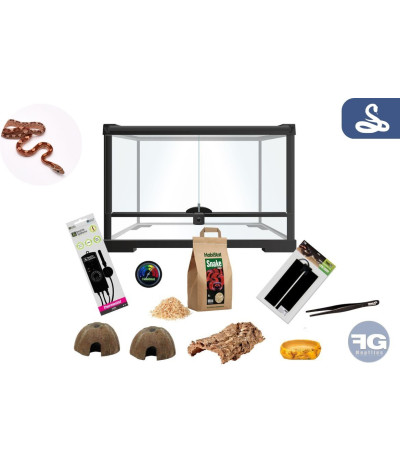 kit terrarium pour serpent des blés