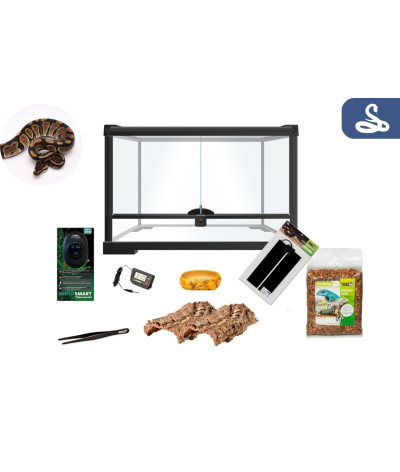 kit terrarium pour python royal
