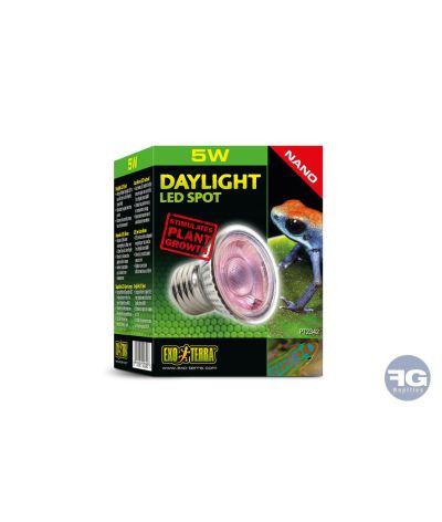 Ampoule LED Nano Daylight 5W Exo Terra