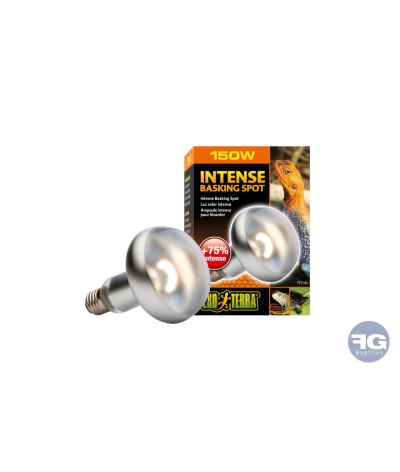 Ampoule chauffante Intense Basking Spot Exo Terra