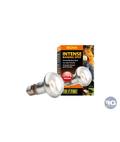 Ampoule chauffante Intense Basking Spot Exo Terra