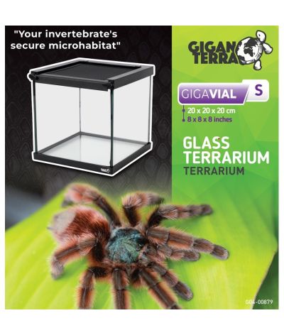 Mini Terrarium 20x20x20 cm Gigavial S Giganterra