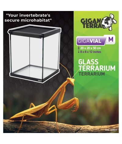 Mini Terrarium 20x20x30 cm GigaVial M Giganterra
