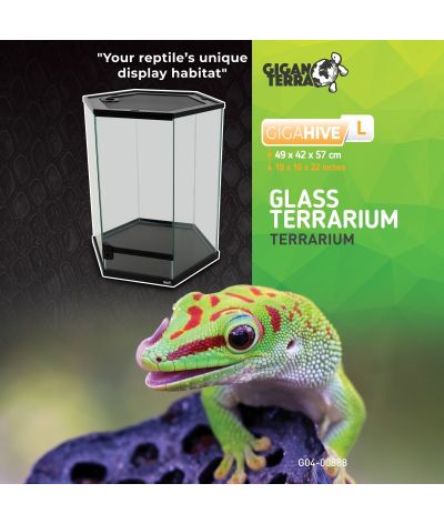 Terrarium hexagonal 49x42x57 cm GigaHive L Giganterra