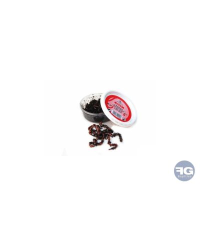 Vers De Terre taille S boîte de 35