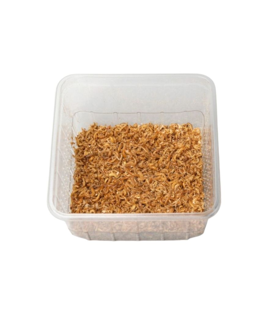 Vers Buffalos boite 50g