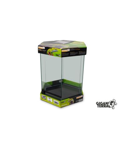 Terrarium hexagonal 49x42x57 cm GigaHive L Giganterra
