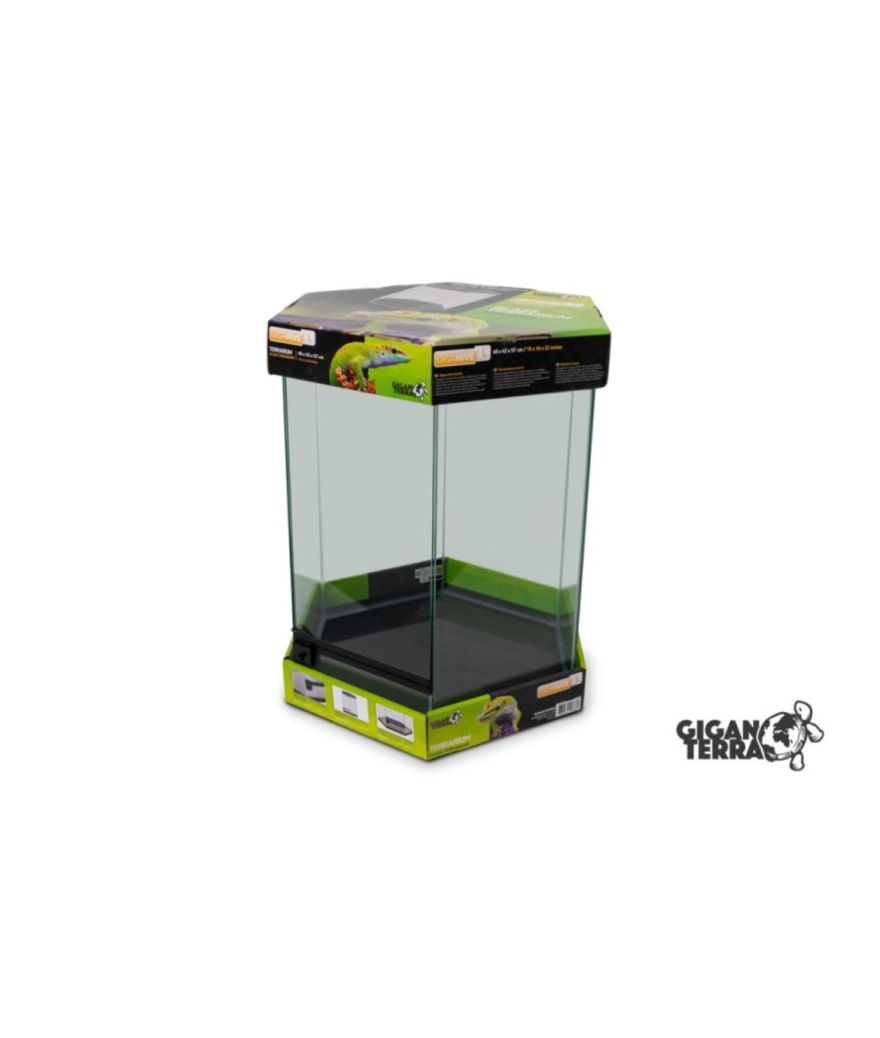 Terrarium hexagonal 49x42x57 cm GigaHive L Giganterra