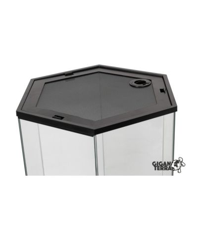 Terrarium hexagonal 49x42x57 cm GigaHive L Giganterra