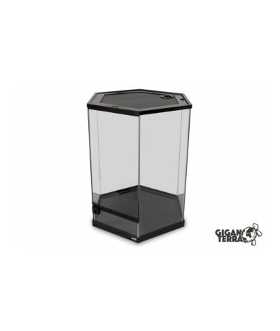 Terrarium hexagonal 49x42x57 cm GigaHive L Giganterra