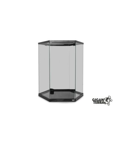 Terrarium hexagonal 49x42x57 cm GigaHive L Giganterra