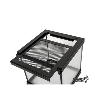 Mini Terrarium insectes 20x20x20 cm Gigavial S Giganterra