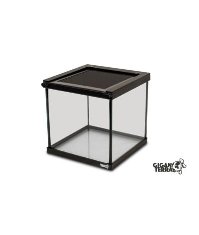 Mini Terrarium insectes 20x20x20 cm Gigavial S Giganterra