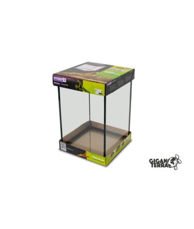 Mini Terrarium insectes 20x20x30 cm GigaVial M Giganterra