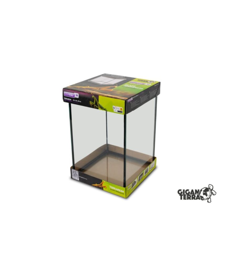 Mini Terrarium insectes 20x20x30 cm GigaVial M Giganterra
