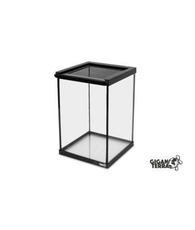 Mini Terrarium insectes 20x20x30 cm GigaVial M Giganterra