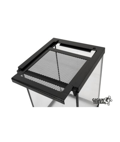 Mini Terrarium insectes 20x20x30 cm GigaVial M Giganterra