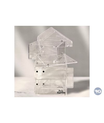 Terrarium pour Phidippus équipé et évolutif