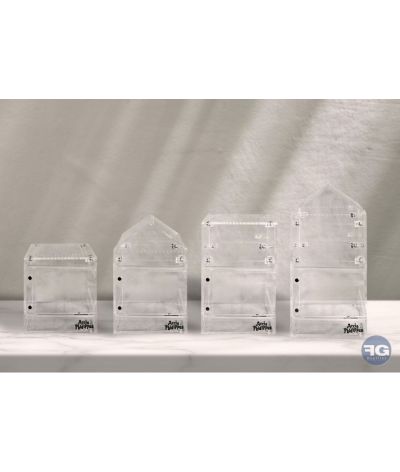 Terrarium pour Phidippus équipé et évolutif