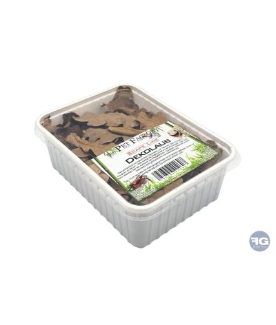 Feuilles de chêne 1 L pour terrarium